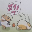 돌려보면 아쉬운 필름만이 허공에 돌고
