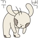 스마일익스프레스 이미지