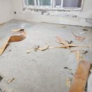 강선마을(중) 이미지