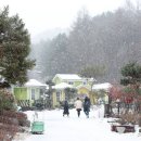 티하우스키즈펜션 이미지