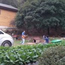 박상민농장 이미지