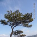 하늘채산악회 구례 오산 산행 (20180114) 이미지