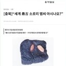farming hypothesis로 본 한국어의 기원-