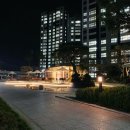 고덕우리공인중개사사무소 | [평택 고덕] 유동성과 인플레이션,그리고 부동산