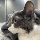 큐아이 메디칼 이미지