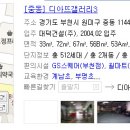 디아뜨3 B 이미지