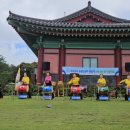 제주트롯장구 이미지