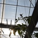 양수농장 | 「 스마트팜 혁신밸리 8기 」 '26 3-4월 후기