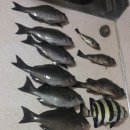 조리농협주유소 이미지