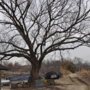 정곡마을회관 이미지