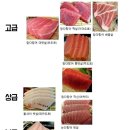 참치연가