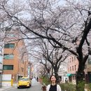 이유영 카카오 검색결과