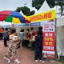 영산강둔치체육공원 | 양귀비 꽃 축제 - 나주 영산강 둔치 체육공원