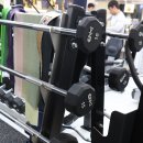제주하젠