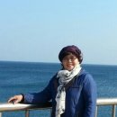 진들농장 이미지