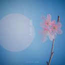 그루 이미지