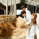 연암농장 충남신문