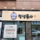 멍생폼사 이미지