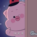 메이탄 이미지