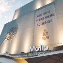 Mollo(몰로)