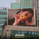 우신빌딩 이미지