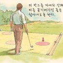 티박스 이미지