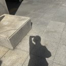 해냄커뮤니케이션 | [KOICA해외봉사/면접 예상 질문 총정리/합격] 코이카 프로젝트 봉사단 4기 2차 면접 후기 💪
