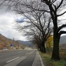 곰티(익산) 이미지