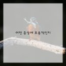 동네한의원 네이버블로그