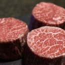 눈꽃회관 이미지