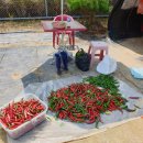 화영농장 이미지