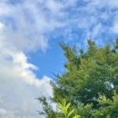 2026학년도 자기소개서 첨삭(이화여대 로스쿨 17기 2인 공동첨삭) + 부산대 로스쿨 합격 이미지