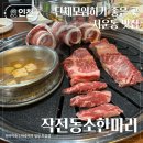 작전동소한마리 이미지