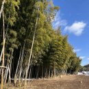 장기목장 | 제주 대한목장 카페 내돈내산 후기 │ 제주 드라이브 코스 추천 명소