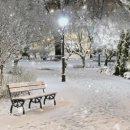 리밸런스 휘트니스 이미지