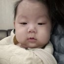 고대안산병원 어린이집 | 4개월 아기 기관지염 및 독감 안산 고대병원 입원후기