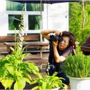 허브펜션 이미지