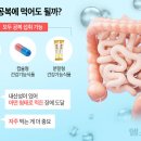 “빈속에” vs “공복에 먹으면 사멸”, 유산균 언제 먹는 게 좋을까? 이미지