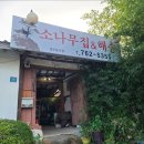 소나무집 이미지
