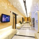 더미즈웰산부인과의원 네이버블로그