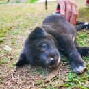 산위의마을 이미지