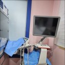 응암동물병원 이미지