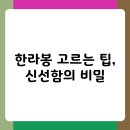 제주 햇살 가득 담은 한라봉잼 레시피