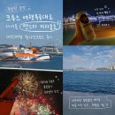 원나잇 | 부산항 출발 크루즈 여행특공대로 다녀온 팬스타 미라클호 대한해협 원나잇크루즈 후기