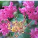 동강초등학교 이미지