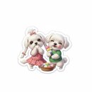 시골떡집 | 💚 전통떡집 녹두완두찰떡 후기 | 창원·마산 수제 전통간식 추천