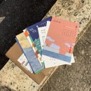 보름도본본