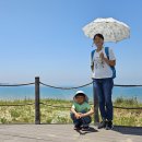 태안신두리해안사구 생태탐방 - 대전, 천안가톨릭기후행동 이미지