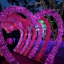 프로방스 이미지