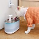 제일펫 | 고양이 급수기로 음수량 해결하기! 헤이홈 펫 정수기 솔직 후기